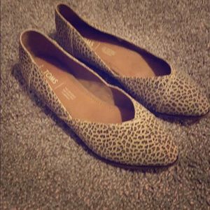 New! TOMS Leopard print Shoe